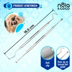 Nola & Coco® Tandsteen Verwijderaar Set Inclusief Bewaardoosje - Tandenkrabber - Set Van Twee - Hond - Kat - Tandenborstel - Tandplak Verwijderen - Tandenstoker - Honden Tanden Schoonmaken - Tandenhaakje - Gebitsreiniging -Huisdierenserie Winkel 1200x1200 202