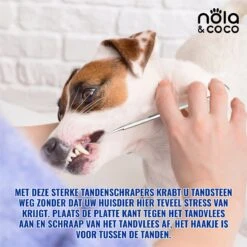 Nola & Coco® Tandsteen Verwijderaar Set Inclusief Bewaardoosje - Tandenkrabber - Set Van Twee - Hond - Kat - Tandenborstel - Tandplak Verwijderen - Tandenstoker - Honden Tanden Schoonmaken - Tandenhaakje - Gebitsreiniging -Huisdierenserie Winkel 1200x1200 203