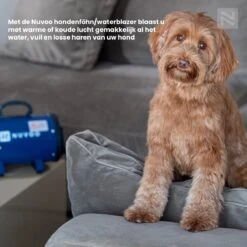 Nuvoo Professionele Hondenföhn / Waterblazer / Hondenborstel Met 3 Opzetstukken - Verstelbare Vermogen Tot 2200W - Warme / Koude Stand - Rood -Huisdierenserie Winkel 1200x1200 22