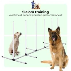 AYOO Agility Voor De Hond - Honden Training - Honden Behendigheid Set - Hondenparcours - Training Huisdieren - Honden Agility Set - Slalom - Horde - Draagzak - Agility Set - Oranje - Wit - GRATIS Speeltouw 15 AYOO Agility Voor De Hond - Honden Training - Honden Behendigheid Set - Hondenparcours - Training Huisdieren - Honden Agility Set - Slalom - Horde - Draagzak - Agility Set - Oranje - Wit - GRATIS Speeltouw -Huisdierenserie Winkel 1200x1200 224