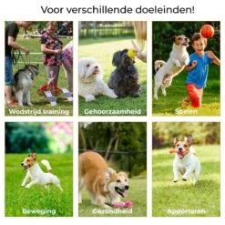AYOO Agility Voor De Hond - Honden Training - Honden Behendigheid Set - Hondenparcours - Training Huisdieren - Honden Agility Set - Slalom - Horde - Draagzak - Agility Set - Oranje - Wit - GRATIS Speeltouw 16 AYOO Agility Voor De Hond - Honden Training - Honden Behendigheid Set - Hondenparcours - Training Huisdieren - Honden Agility Set - Slalom - Horde - Draagzak - Agility Set - Oranje - Wit - GRATIS Speeltouw -Huisdierenserie Winkel 1200x1200 225