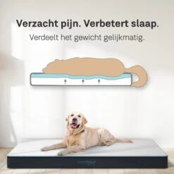 CozySense® - Orthopedisch Hondenkussen - Hondenkussen 100 X 70 Cm - Geschikt Als Benchkussen & Hondenbed - Hondenkussen Bank - Traagschuim - Waterdicht - Wasbare Hoes - Maat XL -Huisdierenserie Winkel 1200x1200 246
