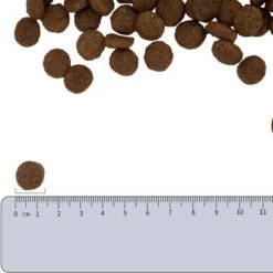 Vetality Hypoallergenic Hondenvoer - 10 Kg -Huisdierenserie Winkel 1200x1200 271