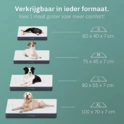 CozySense® - Orthopedisch Hondenkussen - Hondenkussen 90 X 55 Cm - Ook Geschikt Als Benchkussen & Hondenbed - Hondenkussen Bank - Traagschuim - Waterdicht - Wasbare Hoes - Maat L 11 CozySense® - Orthopedisch Hondenkussen - Hondenkussen 90 X 55 Cm - Ook Geschikt Als Benchkussen & Hondenbed - Hondenkussen Bank - Traagschuim - Waterdicht - Wasbare Hoes - Maat L -Huisdierenserie Winkel 1200x1200 292