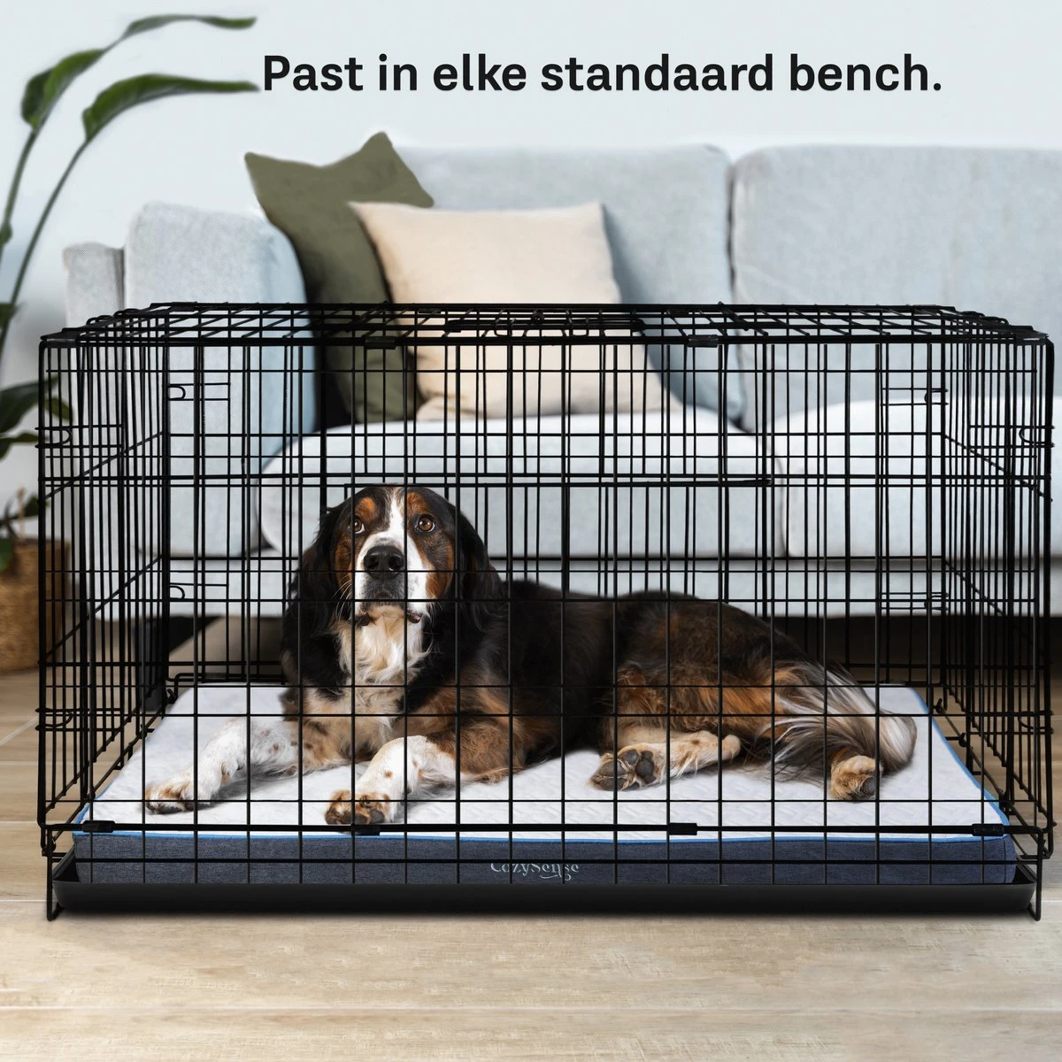 CozySense® - Orthopedisch Hondenkussen - Hondenkussen 90 X 55 Cm - Ook Geschikt Als Benchkussen & Hondenbed - Hondenkussen Bank - Traagschuim - Waterdicht - Wasbare Hoes - Maat L 7 CozySense® - Orthopedisch Hondenkussen - Hondenkussen 90 X 55 Cm - Ook Geschikt Als Benchkussen & Hondenbed - Hondenkussen Bank - Traagschuim - Waterdicht - Wasbare Hoes - Maat L - Afbeelding 5