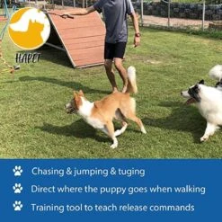 CF Pack - Hond Buitenspeelgoed Actief Behendigheid Touw Dog Flirt Pole Flirtpole Toy Tug Tease Wand Non-Bungee Cord Dog Toy For Fun Obedience Training Extandable Toy Honden Speelgoed Hondenspeelgoed Behendigheidspeelgoed 12 CF Pack - Hond Buitenspeelgoed Actief Behendigheid Touw Dog Flirt Pole Flirtpole Toy Tug Tease Wand Non-Bungee Cord Dog Toy For Fun Obedience Training Extandable Toy Honden Speelgoed Hondenspeelgoed Behendigheidspeelgoed -Huisdierenserie Winkel 1200x1200 303