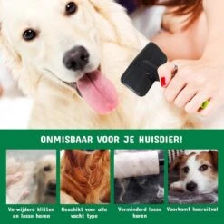 Mister Mill Professionele Set Slicker Honden Kattenborstel Plus Nagelknipper Plus Ondervacht Kam -Huisdierenserie Winkel 1200x1200 32