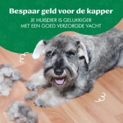 Mister Mill Professionele Set Slicker Honden Kattenborstel Plus Nagelknipper Plus Ondervacht Kam -Huisdierenserie Winkel 1200x1200 34
