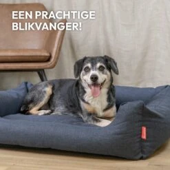 Snoozle Hondenmand - Zacht En Luxe Hondenkussen - Hondenbed - Wasbaar - Hondenmanden - 100 X 70cm 17 Snoozle Hondenmand - Zacht En Luxe Hondenkussen - Hondenbed - Wasbaar - Hondenmanden - 100 X 70cm -Huisdierenserie Winkel 1200x1200 342