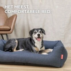 Snoozle Hondenmand - Zacht En Luxe Hondenkussen - Hondenbed - Wasbaar - Hondenmanden - 100 X 70cm 20 Snoozle Hondenmand - Zacht En Luxe Hondenkussen - Hondenbed - Wasbaar - Hondenmanden - 100 X 70cm -Huisdierenserie Winkel 1200x1200 343