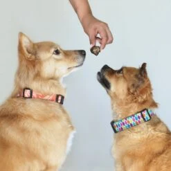 Topdiervoeding Runderlong Hondensnacks - Vers Gedroogd - Knapperig - 1 KG -Huisdierenserie Winkel 1200x1200 359