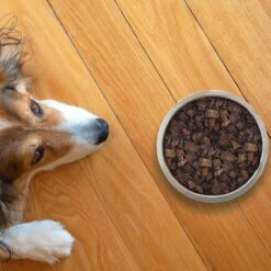 Topdiervoeding Runderlong Hondensnacks - Vers Gedroogd - Knapperig - 1 KG -Huisdierenserie Winkel 1200x1200 360