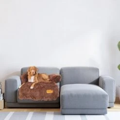 Origineel Hondendeken Voor Bank– Hondenkleed Fluffy – Pluche Hondenbed - Hondenmand Premium - Volledig Afritsbaar 13 Origineel Hondendeken Voor Bank– Hondenkleed Fluffy – Pluche Hondenbed - Hondenmand Premium - Volledig Afritsbaar -Huisdierenserie Winkel 1200x1200 362