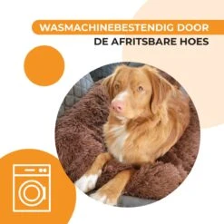 Origineel Hondendeken Voor Bank– Hondenkleed Fluffy – Pluche Hondenbed - Hondenmand Premium - Volledig Afritsbaar 15 Origineel Hondendeken Voor Bank– Hondenkleed Fluffy – Pluche Hondenbed - Hondenmand Premium - Volledig Afritsbaar -Huisdierenserie Winkel 1200x1200 363