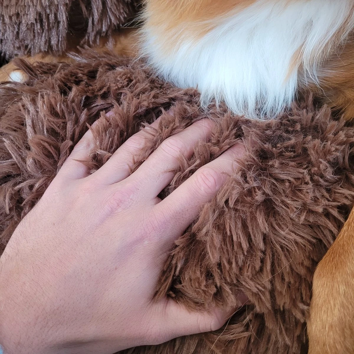 Origineel Hondendeken Voor Bank– Hondenkleed Fluffy – Pluche Hondenbed - Hondenmand Premium - Volledig Afritsbaar 8 Origineel Hondendeken Voor Bank– Hondenkleed Fluffy – Pluche Hondenbed - Hondenmand Premium - Volledig Afritsbaar - Afbeelding 6