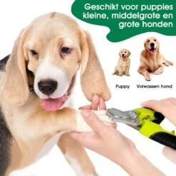 Mister Mill Professionele Set Slicker Honden Kattenborstel Plus Nagelknipper Plus Ondervacht Kam -Huisdierenserie Winkel 1200x1200 37