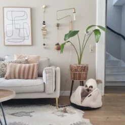 District 70 TUCK - Luxe & Comfortabele Mand Kleine Honden - Terra, Donkergrijs & Zand - 50x50x30 Cm - Zand -Huisdierenserie Winkel 1200x1200 381