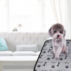 Jooba Puppy Training Pads - Wasbare Puppy Pads 2 Stuks - Hondentoilet - 70x50cm - Puppy 17 Jooba Puppy Training Pads - Wasbare Puppy Pads 2 Stuks - Hondentoilet - 70x50cm - Puppy -Huisdierenserie Winkel 1200x1200 386