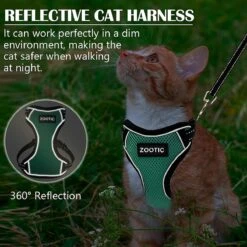 Kattentuigje Met Leiband Riem Kattenharnas Groen Maat M Kat & Kitten - Dieren Kattenriem - Cat Leash - Halsomvang 20 Tot 26cm - Borstomvang 30 Tot 34cm - Zootic® -Huisdierenserie Winkel 1200x1200 411