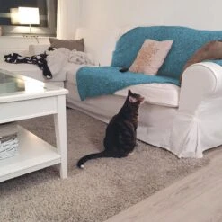 HG Tegen Urine Geur - 500 Ml - Effectief En Snel Resultaat - Neemt De Geur Definitief Weg -Huisdierenserie Winkel 1200x1200 462