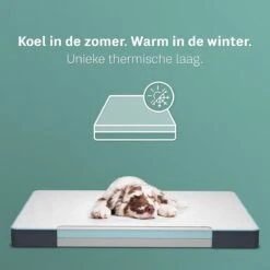 CozySense® - Orthopedisch Hondenkussen - Hondenkussen 60 X 40 Cm - Ook Geschikt Als Benchkussen & Hondenbed - Hondenkussen Bank - Traagschuim - Waterdicht - Wasbare Hoes - Maat S -Huisdierenserie Winkel 1200x1200 48