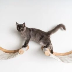 RHRQuality Wandmeubel Wandmontage Klimmuur Kat 53 X 43cm Luxe Hangmat XXL Creme Klim Wand Muur Krabpaal Katten Muurbevestiging -Huisdierenserie Winkel 1200x1200 483