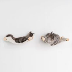 RHRQuality Wandmeubel Wandmontage Klimmuur Kat 53 X 43cm Luxe Hangmat XXL Creme Klim Wand Muur Krabpaal Katten Muurbevestiging -Huisdierenserie Winkel 1200x1200 484