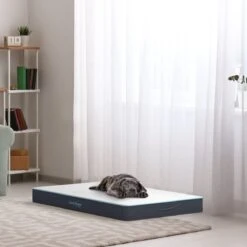 CozySense® - Orthopedisch Hondenkussen - Hondenkussen 60 X 40 Cm - Ook Geschikt Als Benchkussen & Hondenbed - Hondenkussen Bank - Traagschuim - Waterdicht - Wasbare Hoes - Maat S -Huisdierenserie Winkel 1200x1200 50