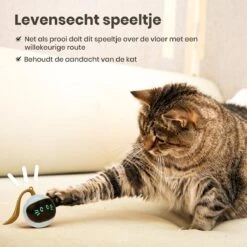 Otiume Interactieve Speelbal - Slimme Interactieve Jaag Speeltje Voor Katten - Kattenspeeltjes - Intelligente Jaagbal - AI -USB Oplaadbaar - LED - Blauw 14 Otiume Interactieve Speelbal - Slimme Interactieve Jaag Speeltje Voor Katten - Kattenspeeltjes - Intelligente Jaagbal - AI -USB Oplaadbaar - LED - Blauw -Huisdierenserie Winkel 1200x1200 509