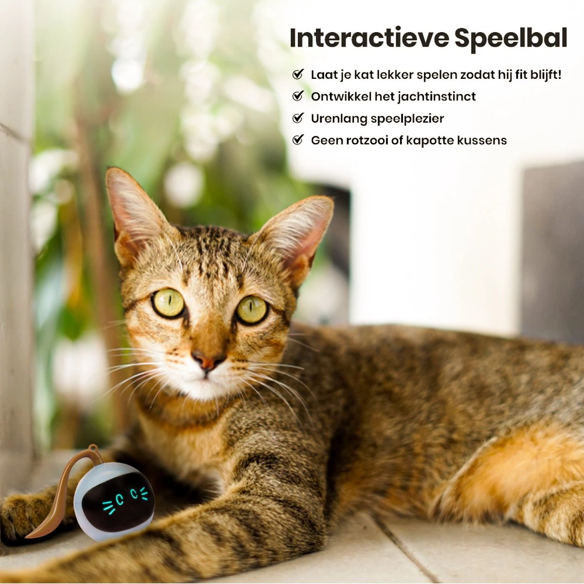 Otiume Interactieve Speelbal - Slimme Interactieve Jaag Speeltje Voor Katten - Kattenspeeltjes - Intelligente Jaagbal - AI -USB Oplaadbaar - LED - Blauw 7 Otiume Interactieve Speelbal - Slimme Interactieve Jaag Speeltje Voor Katten - Kattenspeeltjes - Intelligente Jaagbal - AI -USB Oplaadbaar - LED - Blauw - Afbeelding 5