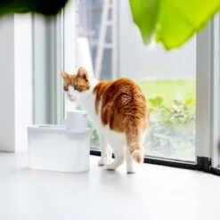 Hoopo® Agua - DRAADLOZE Waterfontein Katten - SMART Waterfontein Katten - UVC Disinfectie - 2 Liter - Automatische Katten Fontein -Huisdierenserie Winkel 1200x1200 524
