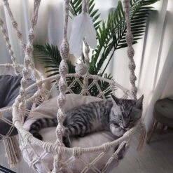 Bonbox Shop - Macrame Hangmat Voor Katten En Kittens - Kattenhammock - Hangmand -Huisdierenserie Winkel 1200x1200 529