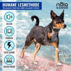 Nola & Coco® Oplaadbare Anti Blafband - 4 Kleuren - Zonder Schok - Waterdichte Diervriendelijke Blaf Halsband - Opvoedingshalsband - Voor Grote En Kleine Honden - Lichte Vibratie En Geluid - 3 Tot 60kg -Huisdierenserie Winkel 1200x1200 67