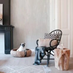 District 70 COCOON - Luxe Hondenmand Van Duurzaam Hoogwaardig Riet Met Zacht Kussen - Maten S/M/L - Large -Huisdierenserie Winkel 1200x1200 89