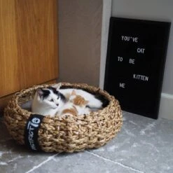 District 70 COCOON - Luxe Hondenmand Van Duurzaam Hoogwaardig Riet Met Zacht Kussen - Maten S/M/L - Large -Huisdierenserie Winkel 1200x1200 93