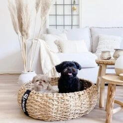 District 70 COCOON - Luxe Hondenmand Van Duurzaam Hoogwaardig Riet Met Zacht Kussen - Maten S/M/L - Large -Huisdierenserie Winkel 1200x1200 96