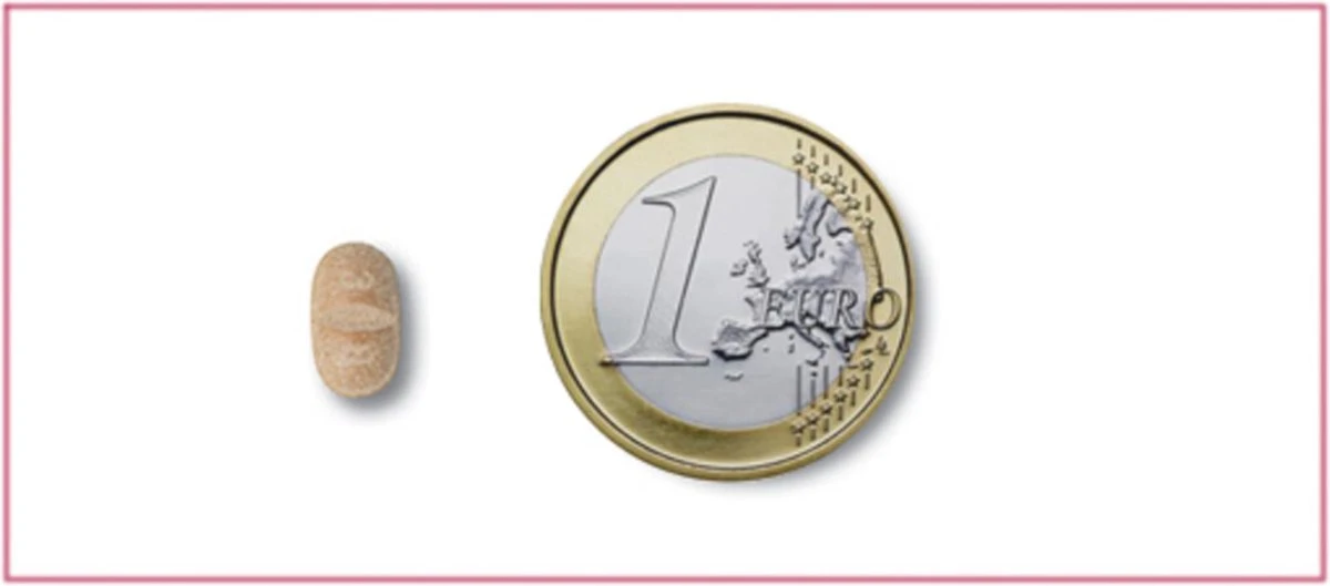 Milbemax Ontworming Tabletten Grote Kat 2 - 12 Kg 2 X 2 Tabletten 4 Milbemax Ontworming Tabletten Grote Kat 2 - 12 Kg 2 X 2 Tabletten - Afbeelding 2