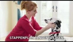 Beaphar Tandenborstel -Huisdierenserie Winkel 1200x697