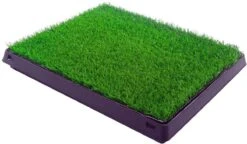 Merkloos Maoo Premium Hondentoilet - Geurbestendig & Hondvriendelijk Kunstgras - Uitneembare Opvangbak - Indoor En Outdoor - 63 X 50 Cm 11 Merkloos Maoo Premium Hondentoilet - Geurbestendig & Hondvriendelijk Kunstgras - Uitneembare Opvangbak - Indoor En Outdoor - 63 X 50 Cm -Huisdierenserie Winkel 1200x698