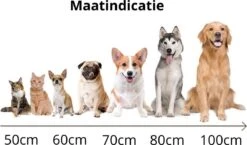 Behave Donut Hondenmand - Hondenkussen - Hondenbed - Kattenmand - Fluffy - Donut - 50cm - Beige 12 Behave Donut Hondenmand - Hondenkussen - Hondenbed - Kattenmand - Fluffy - Donut - 50cm - Beige -Huisdierenserie Winkel 1200x706