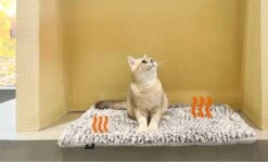 Merkloos Zelfverwarmende Dierendeken Zonder Stroom Thermo Deken Hond Kat Inclusief Adreslabel 70 X 47 Cm -Huisdierenserie Winkel 1200x730