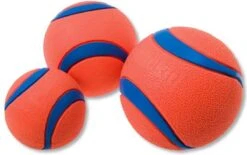 Chuckit! 10 Chuckit Ballen In Emmer - Chuckit - Veilig Voor Gebit - Hondenbal - Past In Werpstok 8 Chuckit! 10 Chuckit Ballen In Emmer - Chuckit - Veilig Voor Gebit - Hondenbal - Past In Werpstok -Huisdierenserie Winkel 1200x751 1