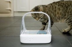 Surefeed Microchip Pet Feeder - Voerbak - 30 X 23 X 22 Cm -Huisdierenserie Winkel 1200x780 3