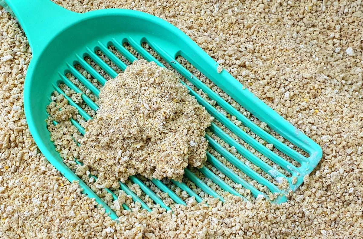 Merkloos GrainCat Composteerbare Kattenbakvulling Klontvormend 24L 4 Merkloos GrainCat Composteerbare Kattenbakvulling Klontvormend 24L - Afbeelding 2