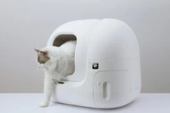 PETKIT® Pura MAX – Automatische Kattenbak – Elektrisch – Kattenbak Zelfreinigend – Bedienen Via De App 14 PETKIT® Pura MAX – Automatische Kattenbak – Elektrisch – Kattenbak Zelfreinigend – Bedienen Via De App -Huisdierenserie Winkel 1200x798 2