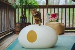 SinDesign Poopoopeedo Kattenbak - Zwart -Huisdierenserie Winkel 1200x800 13