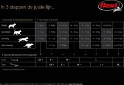 Flexi Rollijn New Classic Tape Large 8 M - Hondenriem - Zwart Tot 50kg -Huisdierenserie Winkel 1200x828