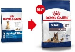 Royal Canin Maxi Ageing 8+ 15 KG -Huisdierenserie Winkel 1200x836