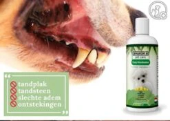 Easy Mondwater Voor Honden - 237 Ml - Tegen Stinkende Adem - Tandplak - Tandsteen - Tandvleesproblemen -Huisdierenserie Winkel 1200x852 2