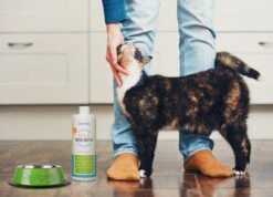 OxyFresh Pet Mondwater Hond En Kat. Helpt Tegen Tandsteen, Plak En Vieze Ademgeurtjes -Huisdierenserie Winkel 1200x864